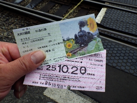 大井川鉄道131020 016(2).JPG